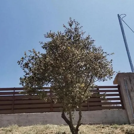 Casa Quercu * Sykia Chalkidikis