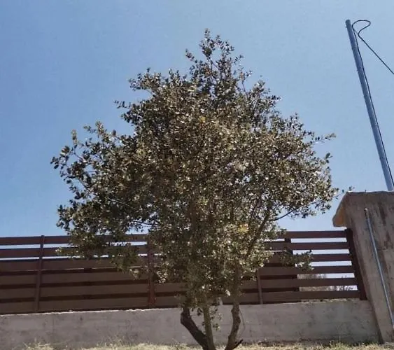Casa Quercu * סיקיה